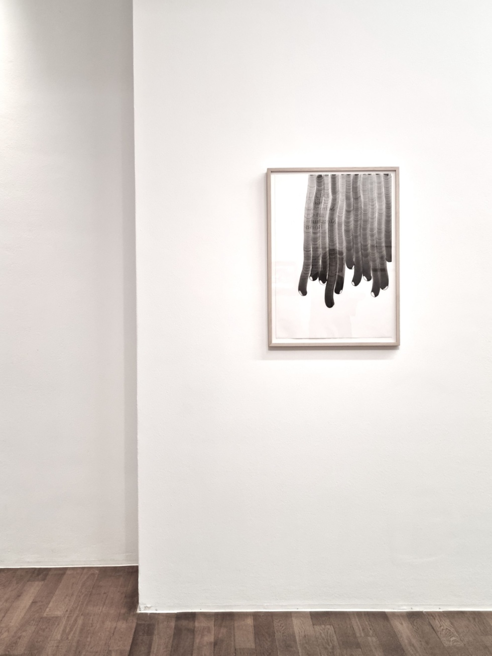 Ansicht Kunstmuseum